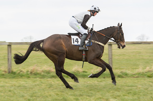 Race 2 - PPORA Novice riders  (44 of 186).jpg