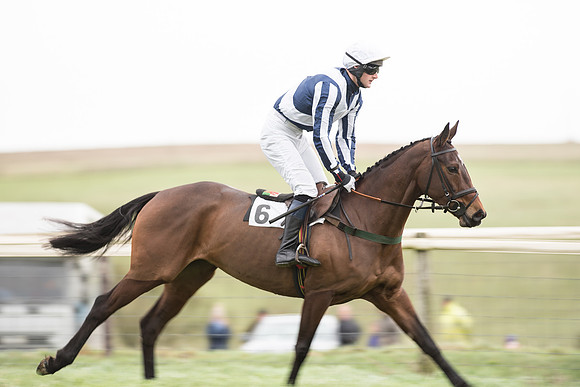 Race 2 - MAres Maiden (11 of 61).jpg