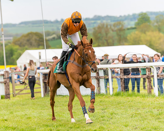 Race 7 - Veteran Horse conditions (76 of 244)