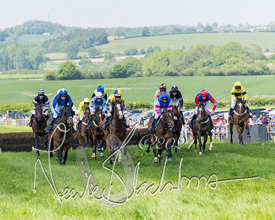 Race 2 - The Maiden  (144 of 442)