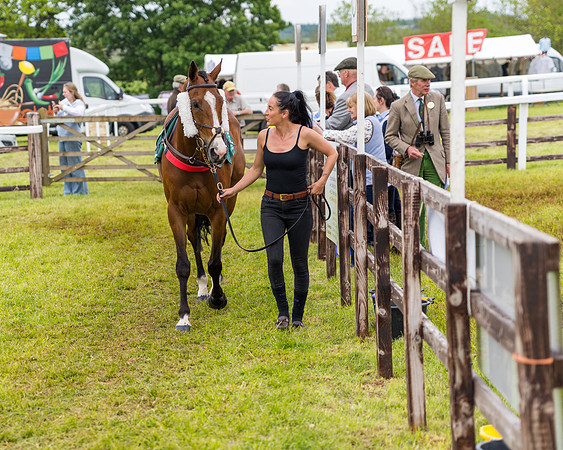 Race 7 - Veteran Horse conditions (35 of 244)