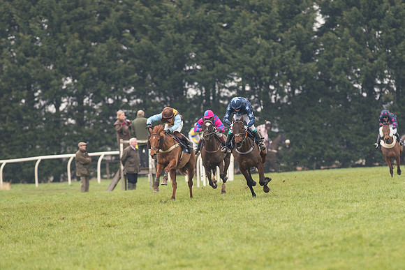 Race 5 - The Restricted Race (60 of 86).jpg
