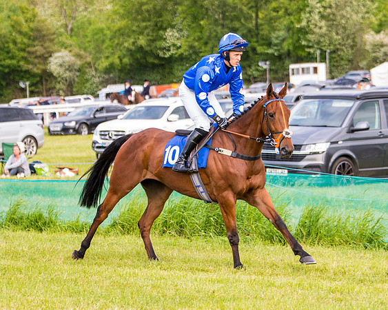 Race 6 - Open Maiden (112 of 346)