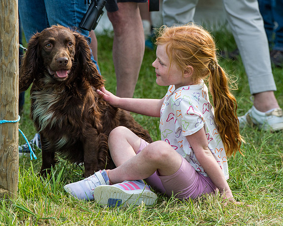 Ava and Merlin (6 of 17)