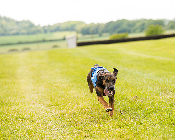 Draghounds Race (207 of 212)