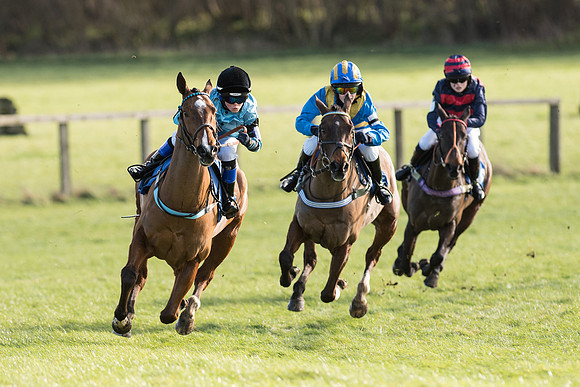 Pony Race 2 (1 of 22).jpg