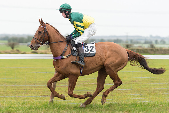 Race 6 - Open Maiden Race Div 2  (33 of 118).jpg