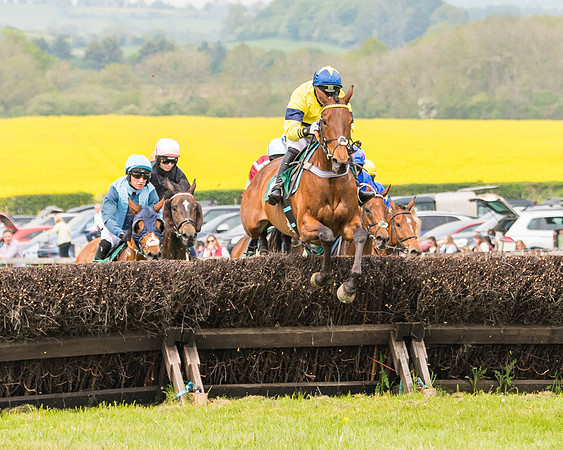 Race 2 - Owner-Trainer Conditions  (75 of 208)