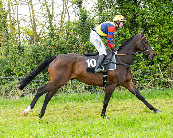 Race 2 - 2M4F Conditions (51 of 195)