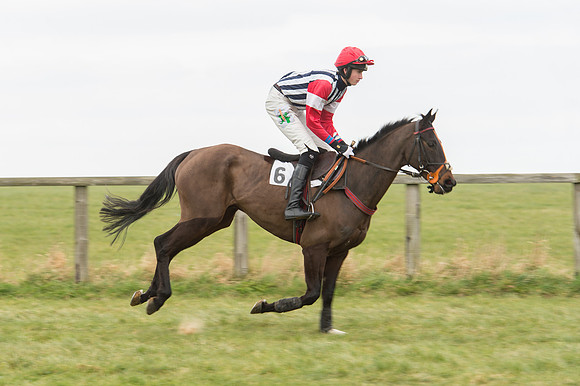 Race 2 - PPORA Novice riders  (36 of 186).jpg