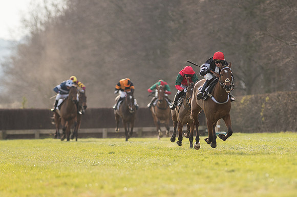 Race 5 - Restricted Race (69 of 98).jpg