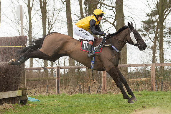 Race 2 - PPORA Novice riders  (108 of 186).jpg