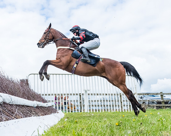 Race 2 - ROR and veteran Horse Conditions race (20 of 77)
