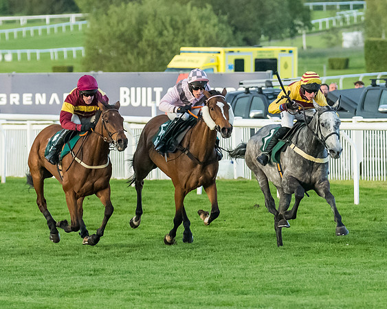 Race 5 - Mares Open  (123 of 329)