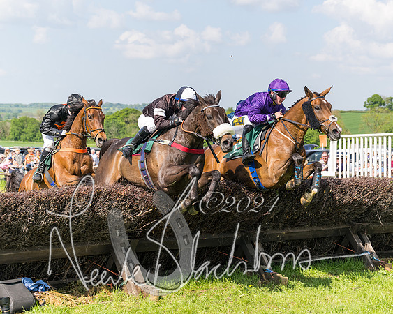 Race 4 - PPORA Novice Riders Final  (228 of 362)