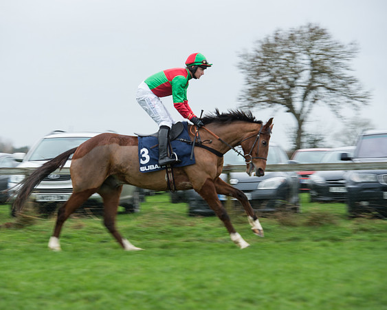 Race 4 - Restricted (16 of 58).jpg