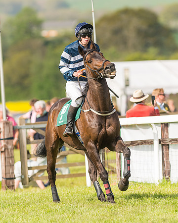 Race 5 - Restricted  (23 of 164)