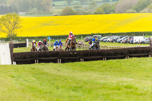 Race 7 - Veteran Horse conditions (98 of 244)
