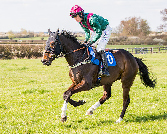 Race 5 - The Waverton Investment Management Ltd Restricted Race farmers and subscribers Race  (51 of 161)