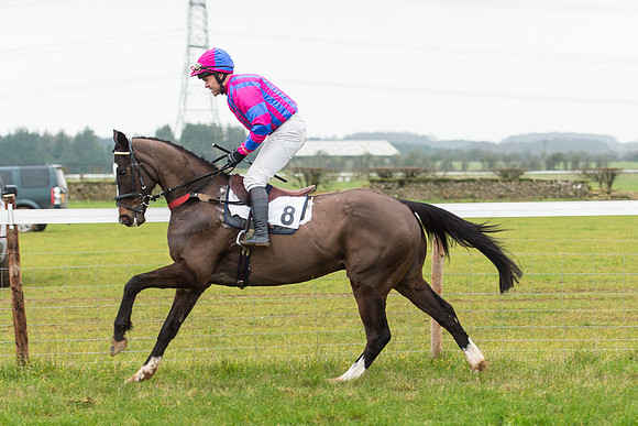 Race 6 - Open Maiden Race Div 2  (30 of 118).jpg