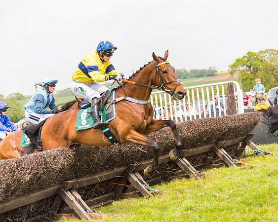 Race 2 - Owner-Trainer Conditions  (119 of 208)