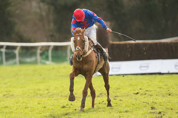 Race 5 - 2M 4F Conditions (89 of 96).jpg