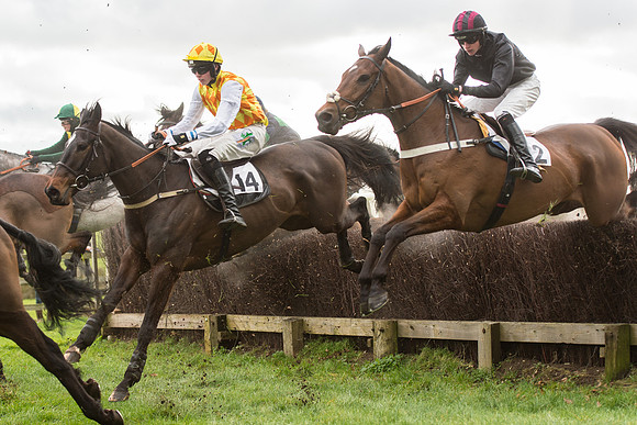 Race 2 - Young Horse Maiden (56 of 110).jpg