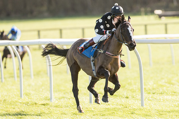 Pony Race 2 (15 of 22).jpg