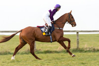 Race 6 Div 2 - Open Maiden  (10 of 131).jpg
