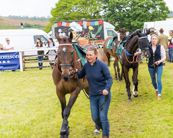 Race 7 - Veteran Horse conditions (24 of 244)