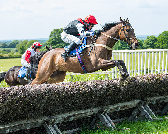 Race 1 - The Little Red owner Trainer conditions (232 of 345)