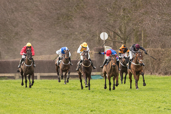 Race 2 - Young Horse Maiden (70 of 110).jpg