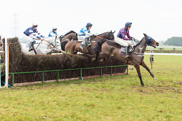 Race 6 - Open Maiden Race Div 2  (46 of 118).jpg