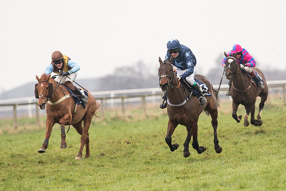 Race 5 - The Restricted Race (68 of 86).jpg