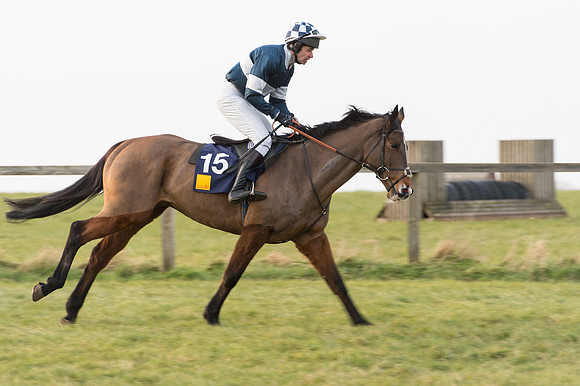 Race 6 Div 2 - Open Maiden  (18 of 131).jpg