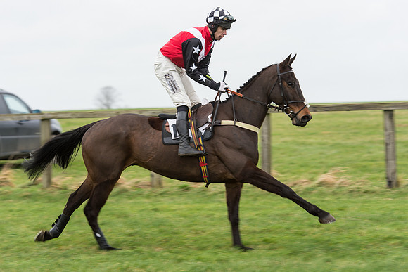 Race 7 - Open Maiden (23 of 131).jpg
