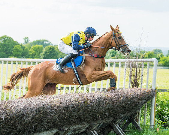 Race 6 - Open Maiden (178 of 346)