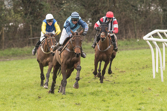 Race 1 - Young Horse Maiden (33 of 50).jpg