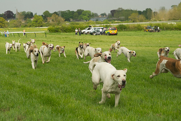 GF4_7756