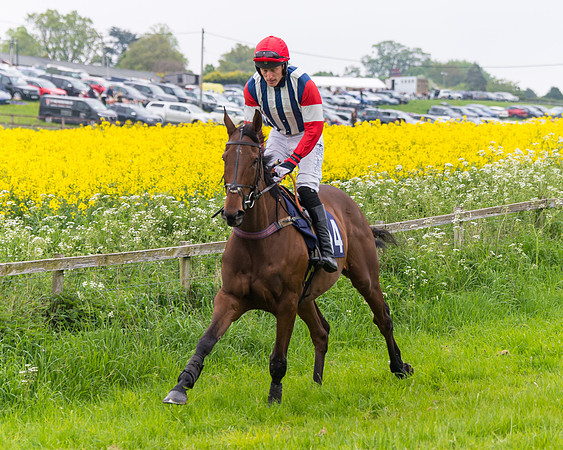 Race 6 - The Maiden [NWFAA] (20 of 143)