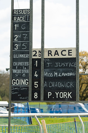 Race 2 - Veteran Horse  (1 of 82)