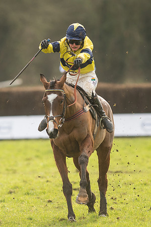Race 5 - 2M 4F Conditions (91 of 96).jpg