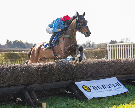 Race 5 - The Waverton Investment Management Ltd Restricted Race farmers and subscribers Race  (104 of 161)