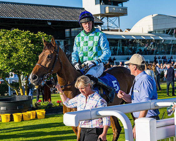 Race 4 - Foxhunters Championship (26 of 175)