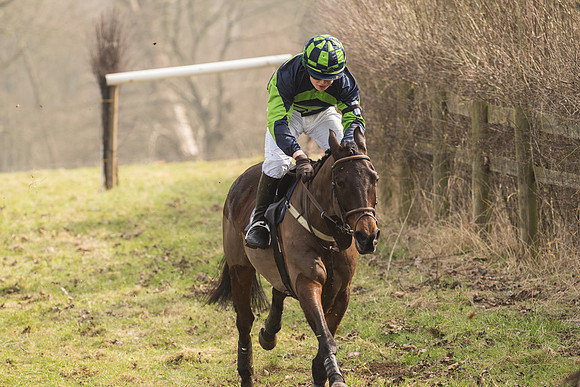 Pony Race 2 -  (18 of 32).jpg