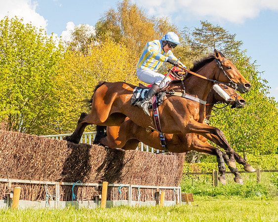 Race 5 - Novice and Veteran Riders (58 of 91)