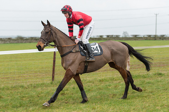Race 6 - Open Maiden Race Div 1  (16 of 90).jpg