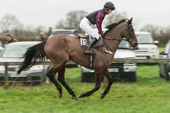 Race 4 - Novice Riders Race (20 of 144).jpg