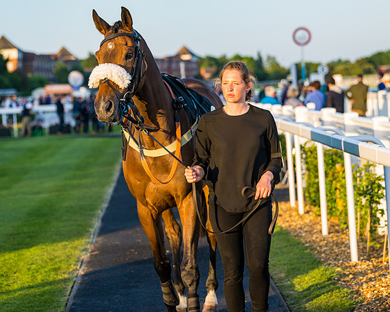 Race 7 - ITM NH Flat Race (6 of 197)