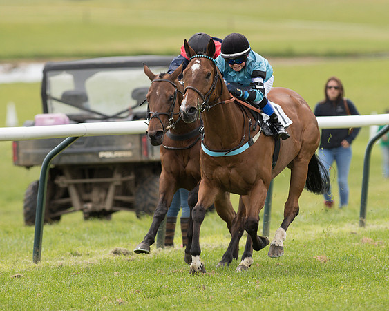 Pony Race - 3 (43 of 80).jpg